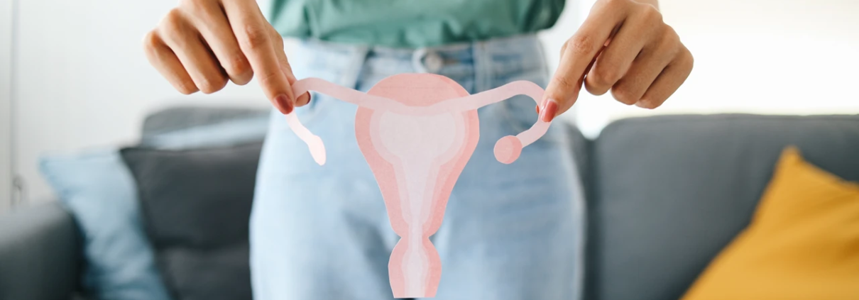 Frau hält Uterus und Eierstöcke aus Papier vor sich.